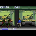 Ninja Warriors