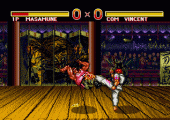 Fatal Fury Special (Sega Game Gear) – J2Games